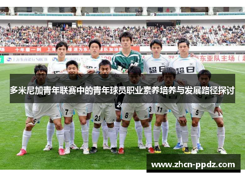 多米尼加青年联赛中的青年球员职业素养培养与发展路径探讨