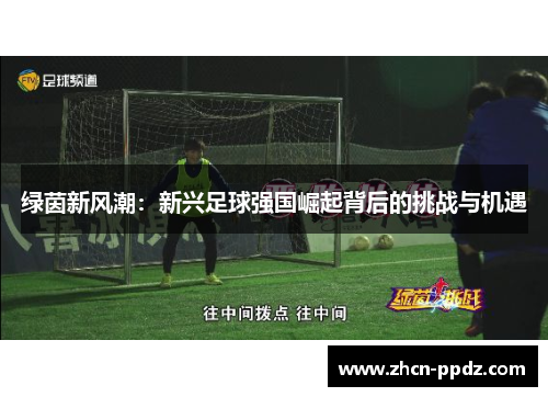 绿茵新风潮：新兴足球强国崛起背后的挑战与机遇