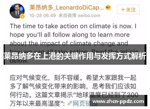 莱昂纳多在上港的关键作用与发挥方式解析 莱昂纳多在上港的关键作用与发挥方式解析