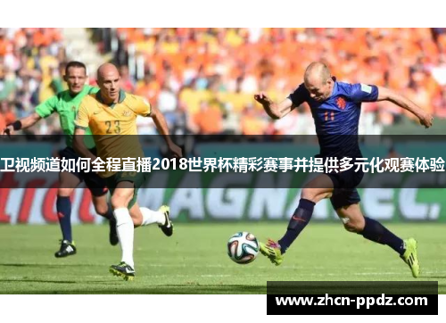 卫视频道如何全程直播2018世界杯精彩赛事并提供多元化观赛体验